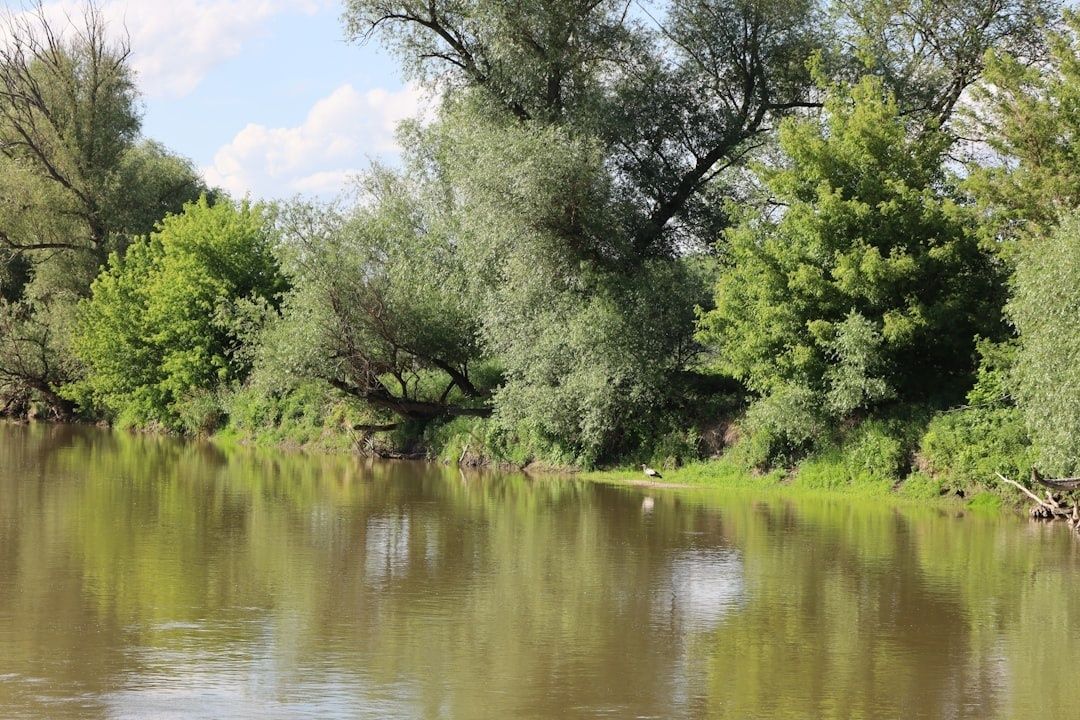 Rivière bordée d